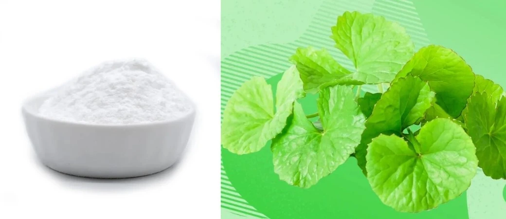 Gotu Kola powder Gotu Kola powder