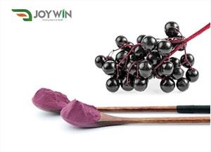 Sambucus Elderberry Powder