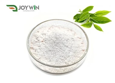 EGCG σε σκόνη